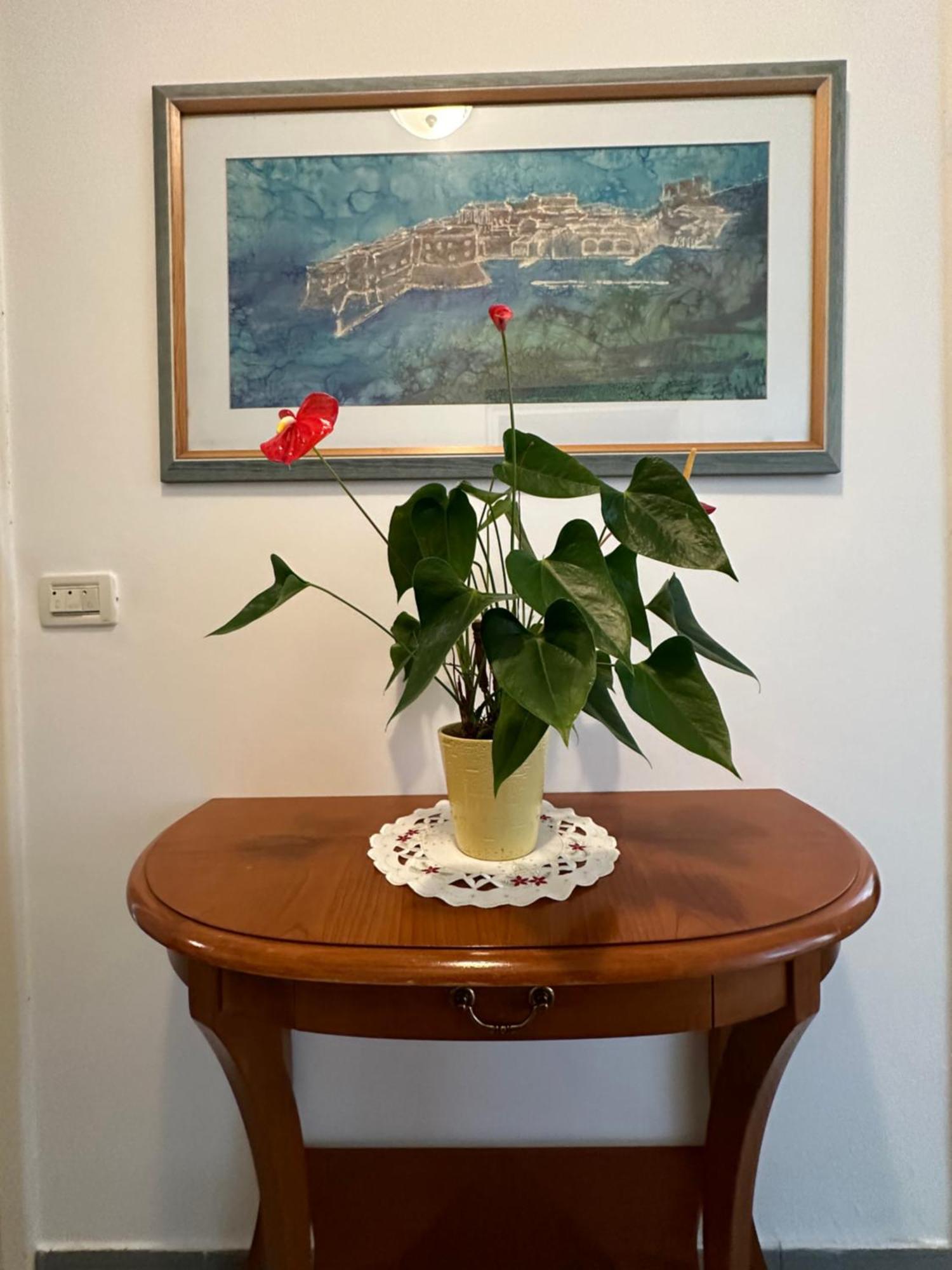 Apartment Golden Creek Magic View دوبروفينك المظهر الخارجي الصورة